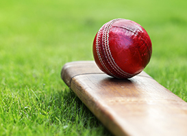 Cricket Pitches