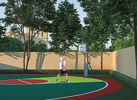 Basketball Court